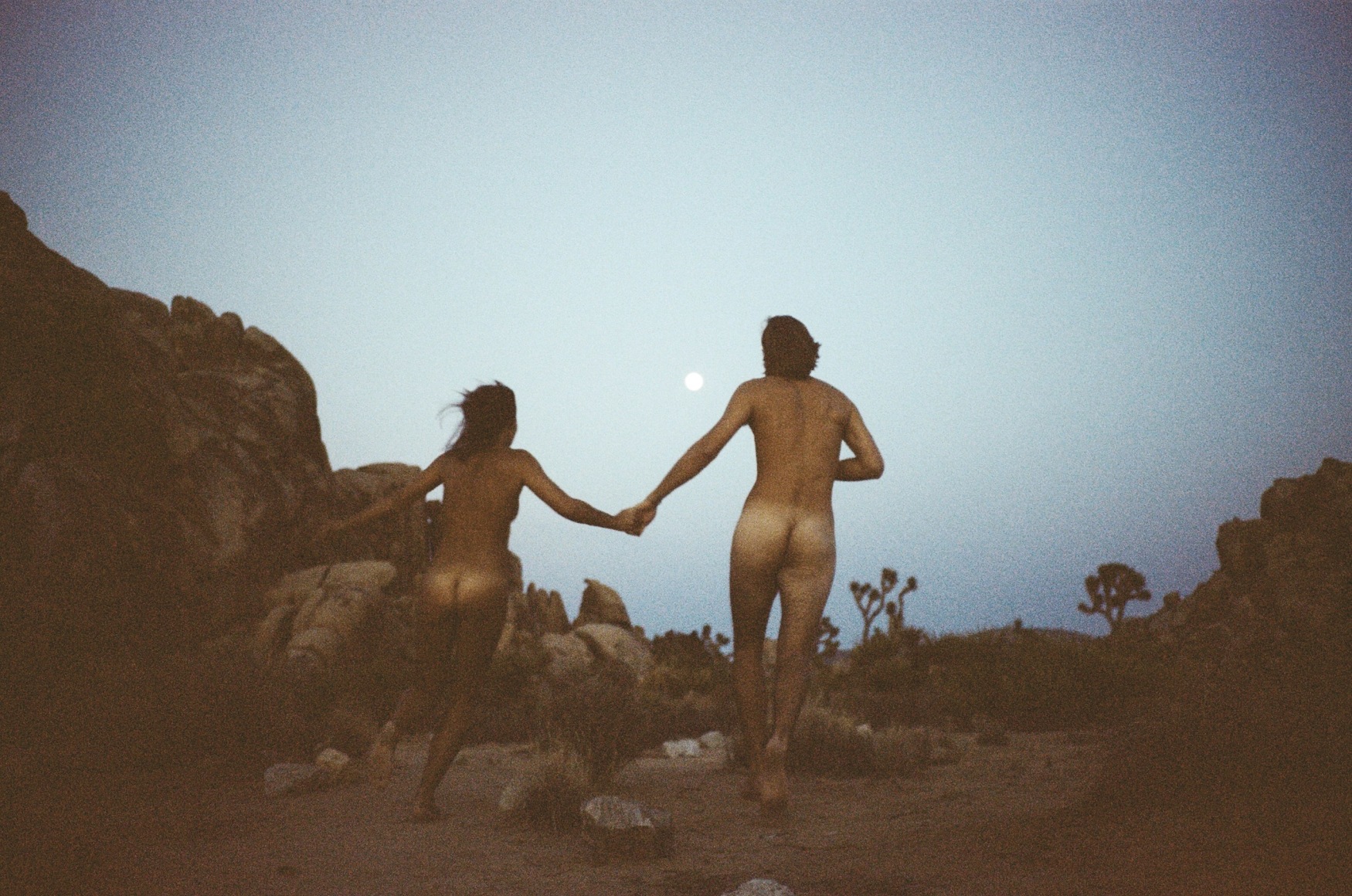 Full Moon, Joshua Tree, 2015, Archival Pigment Print