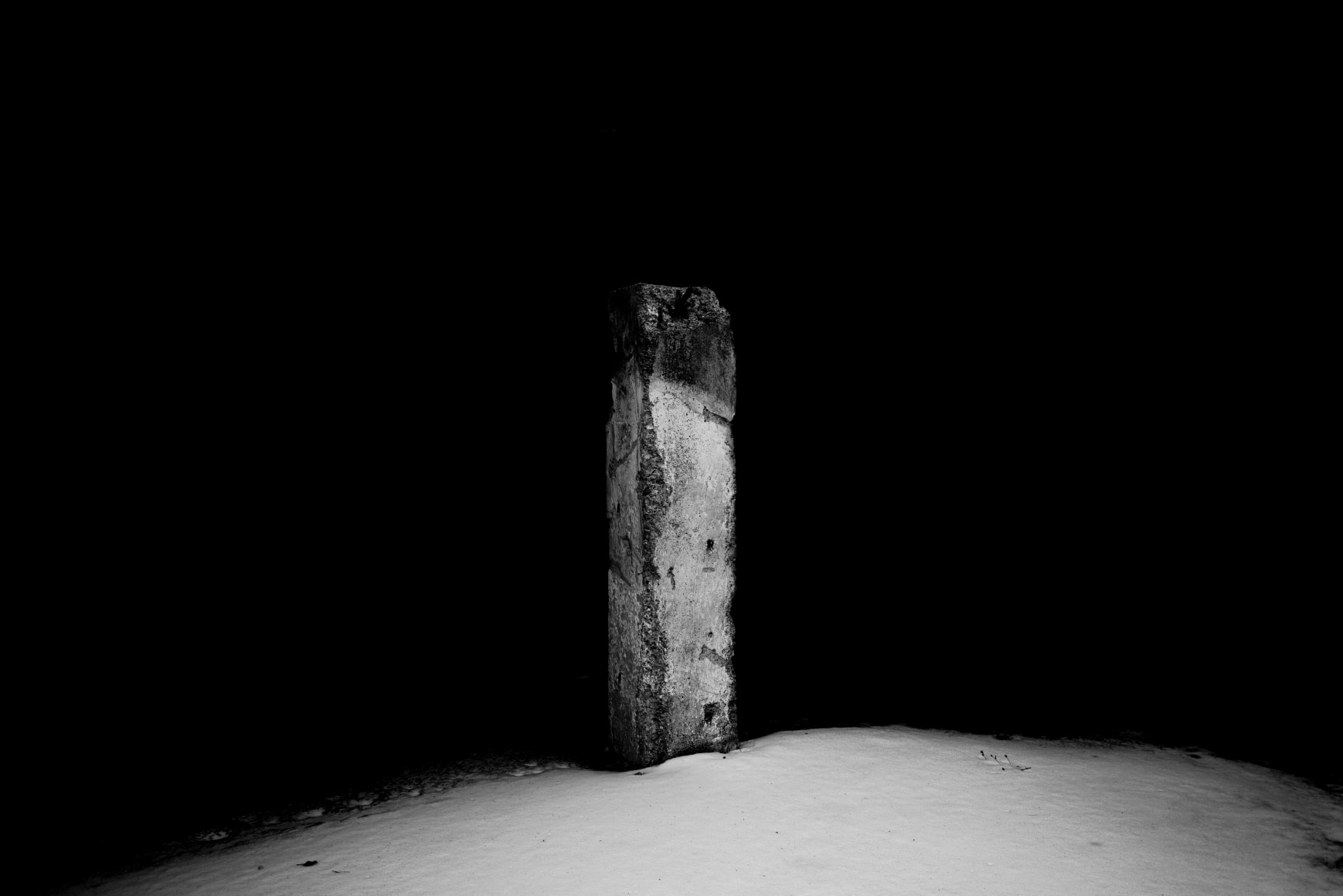 Tin Lizards, Untitled #204, 2023, Archival Pigment Print