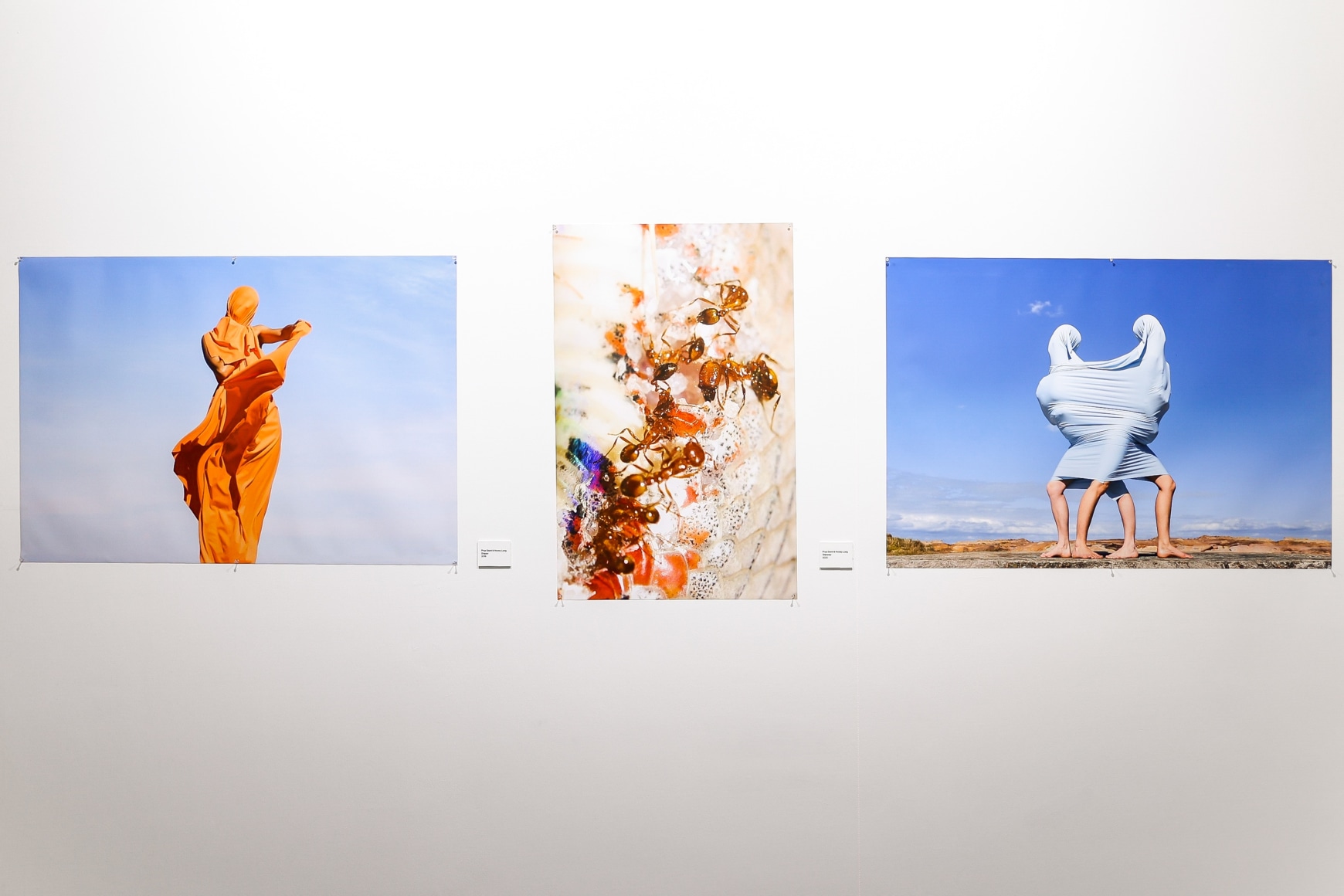 PHOTOFAIRS Shanghai 2024