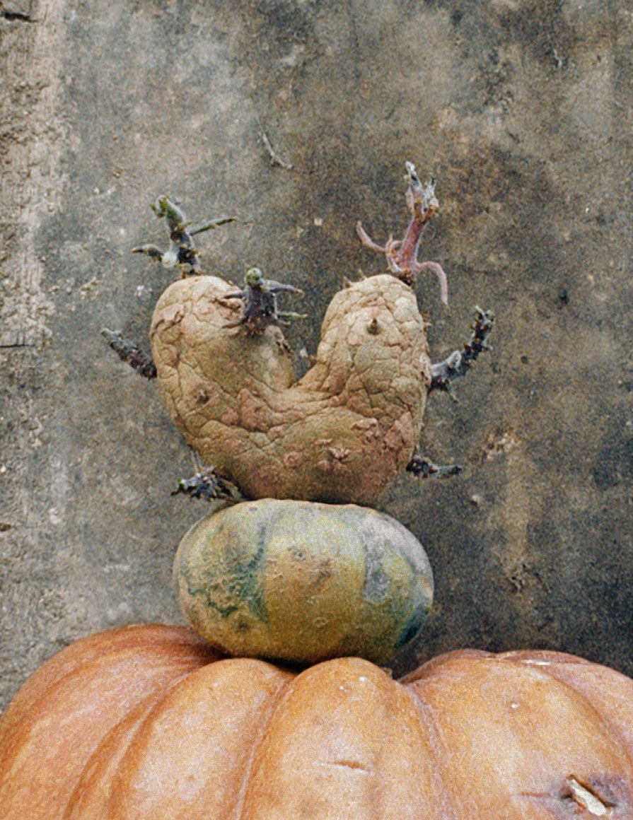 Potato Series, Heart Potato #8, 2002, C-print, Ed. of 10