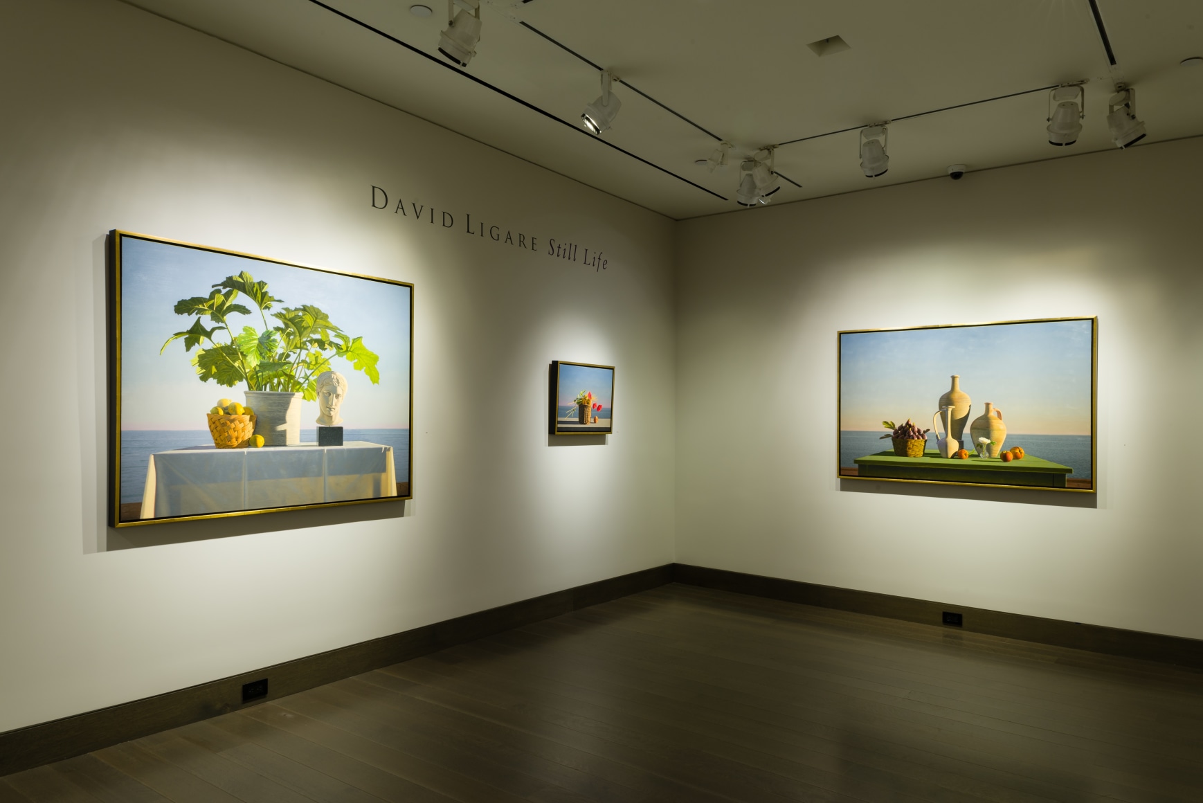 installation view of David Ligare&nbsp;Still Life&nbsp;at Hirschl &amp;amp; Adler Modern, September 12 - October 13, 2018