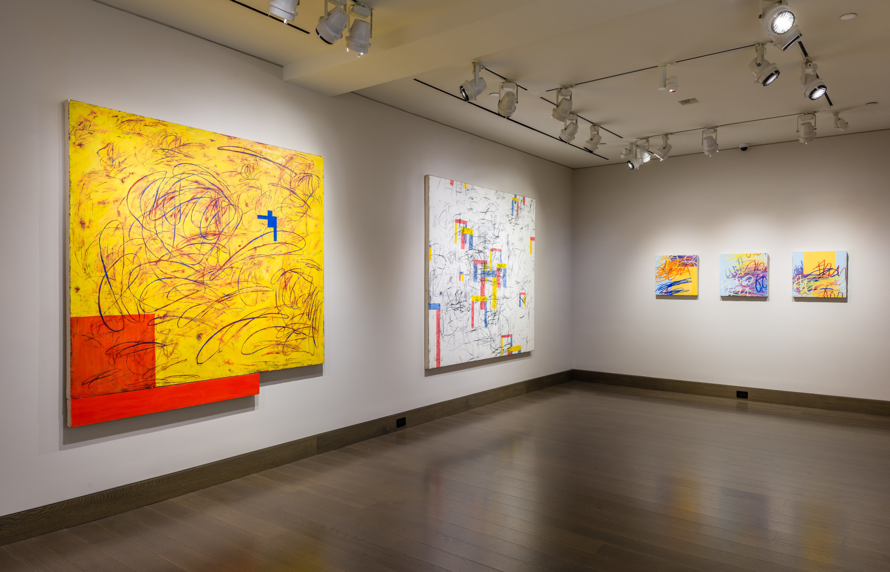 Installation Shot of Louisa Chase: Force Field