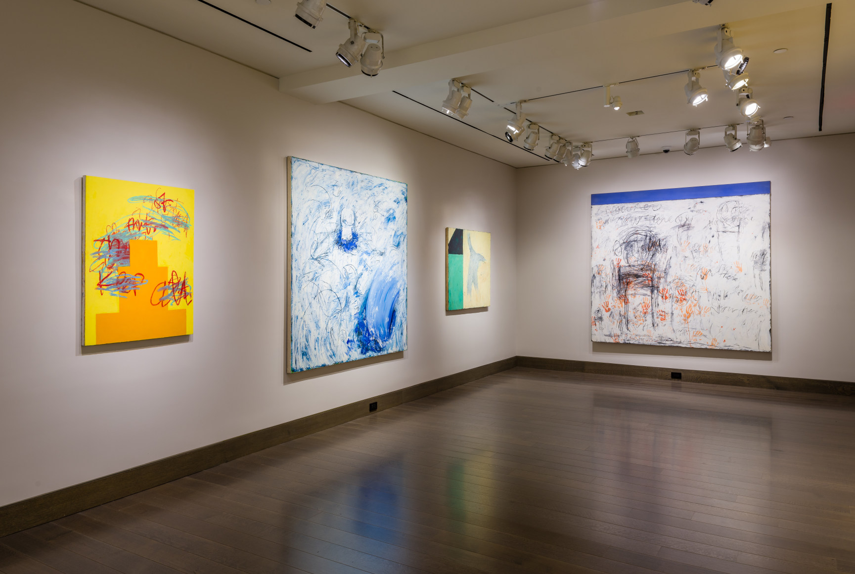 Installation Shot of Louisa Chase: Force Field