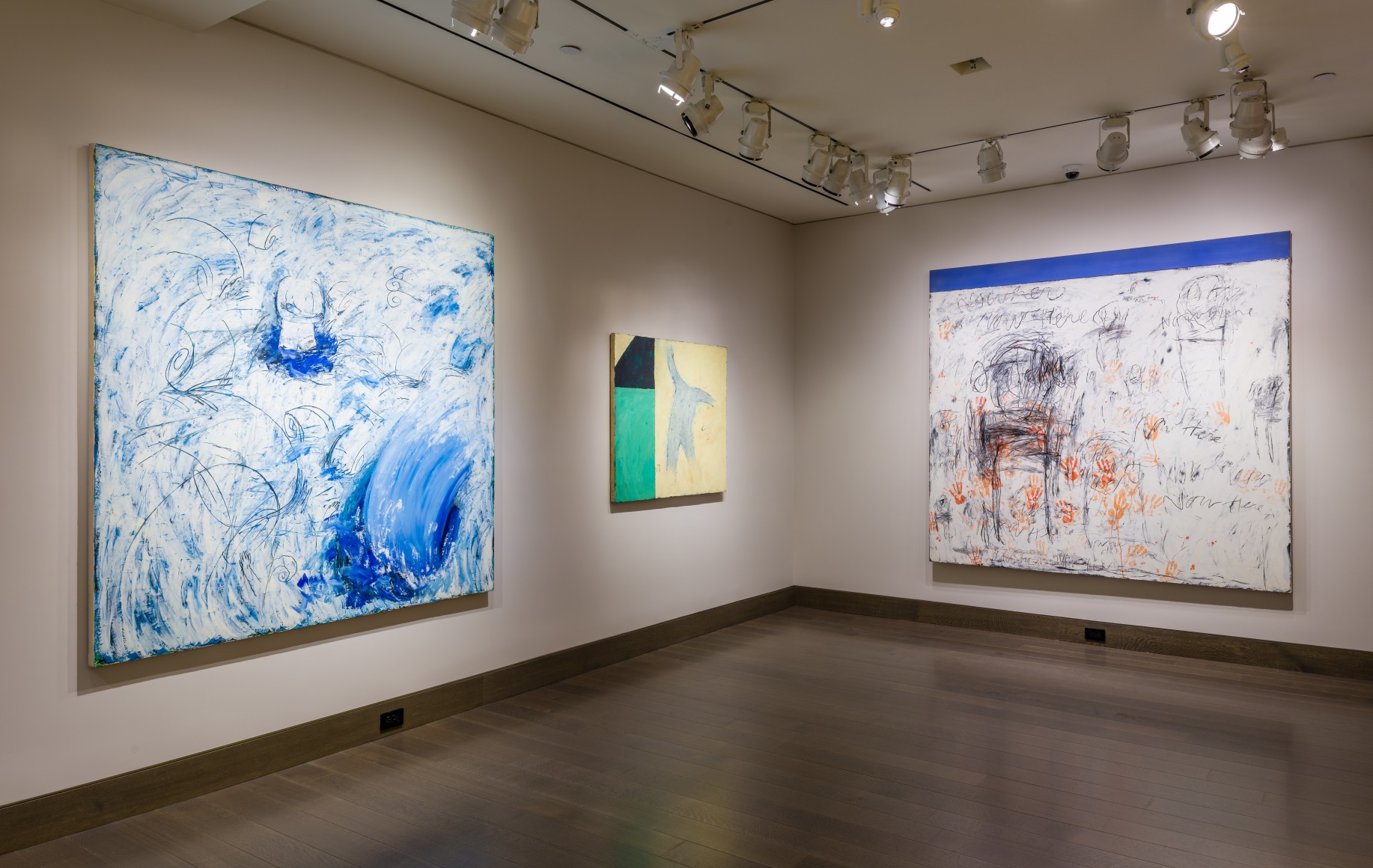 Installation Shot of Louisa Chase: Force Field