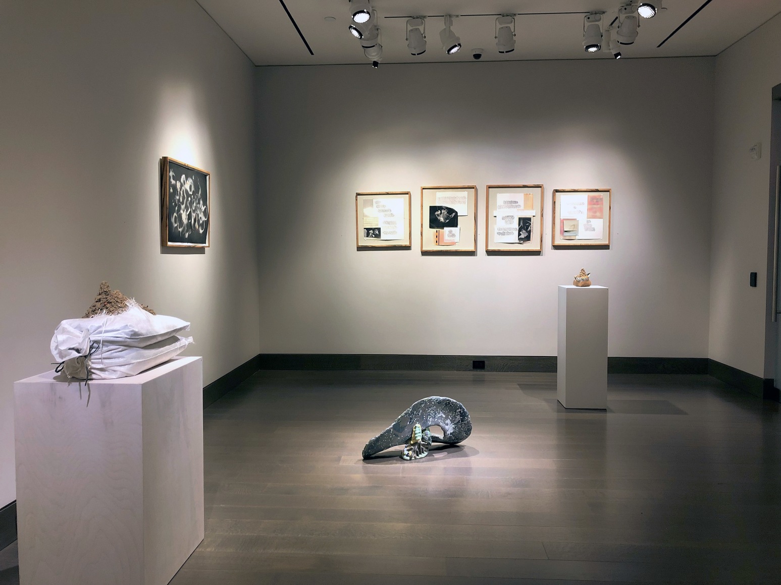 installation view of Lily Cox-Richard's solo exhibition, &quot;Soft Fists Insist,&quot; at Hirschl &amp; Adler Modern, New York