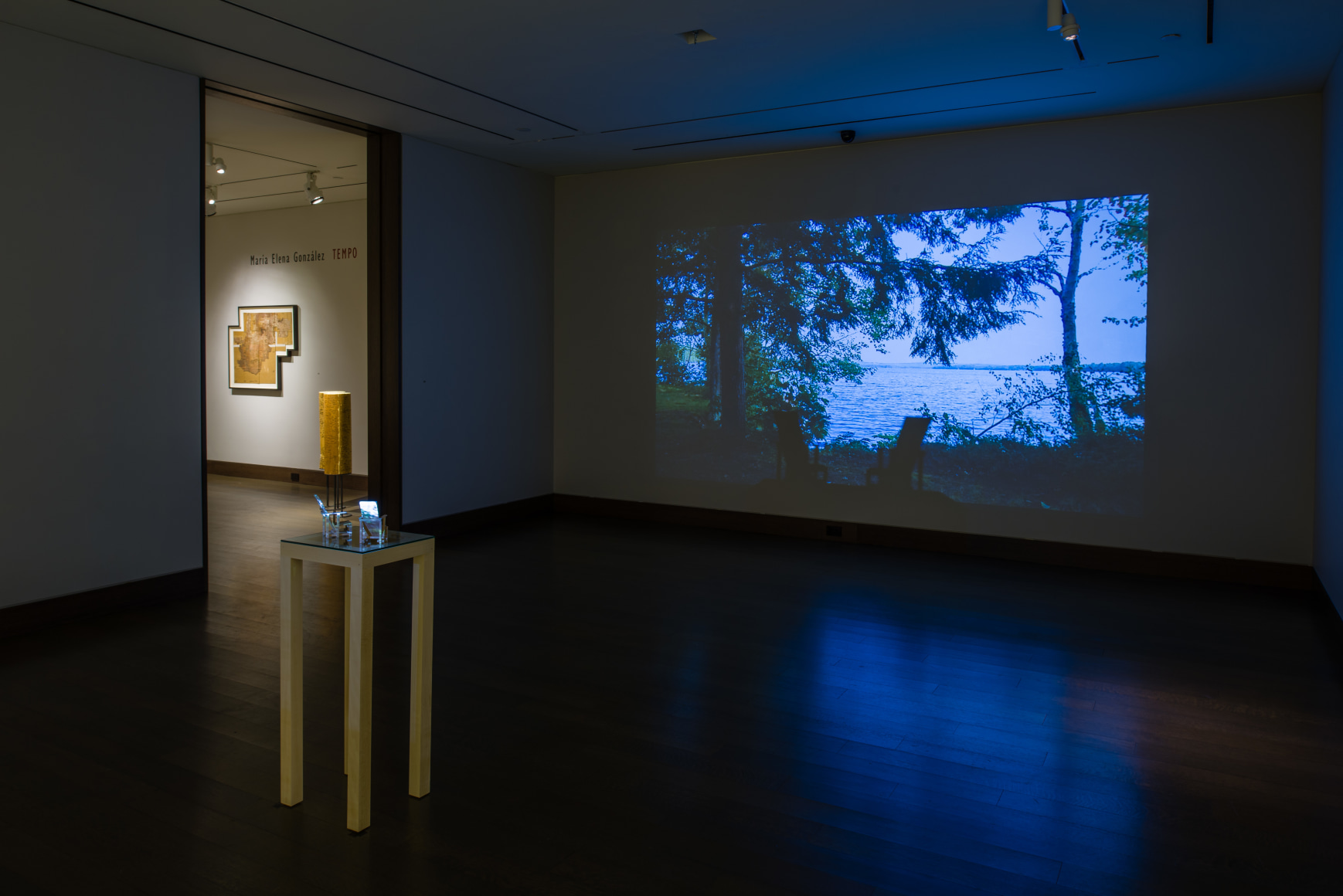 a video projection of a lakeside with accompanying small sculptures by Maria Elena Gonzalez