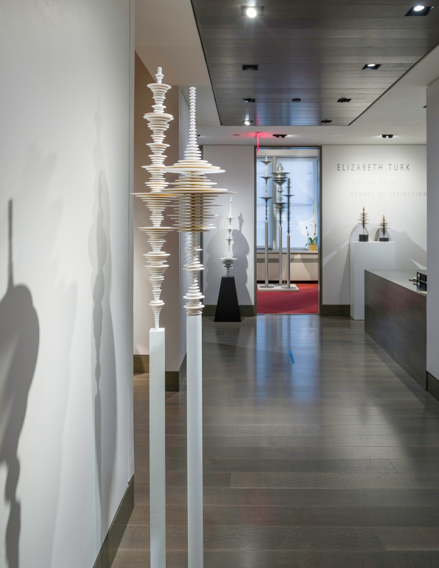 installation view of Elizabeth Turk, &quot;Tipping Point - Echoes of Extinction&quot; at Hirschl &amp; Adler Modern, October 1 - November 20, 2020