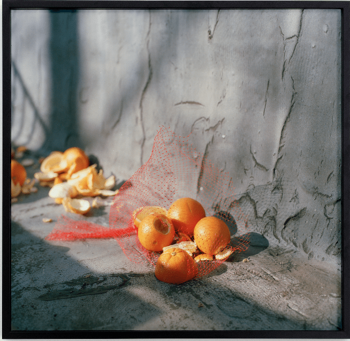 ERIN JOHNSON&nbsp;  Anika, Genesis, Kam, Kanthy, Sindhu, 2023  Archival pigment print on Hahnem&uuml;hle paper,  Edition of 3 + 2 AP, 28 x 28 in.