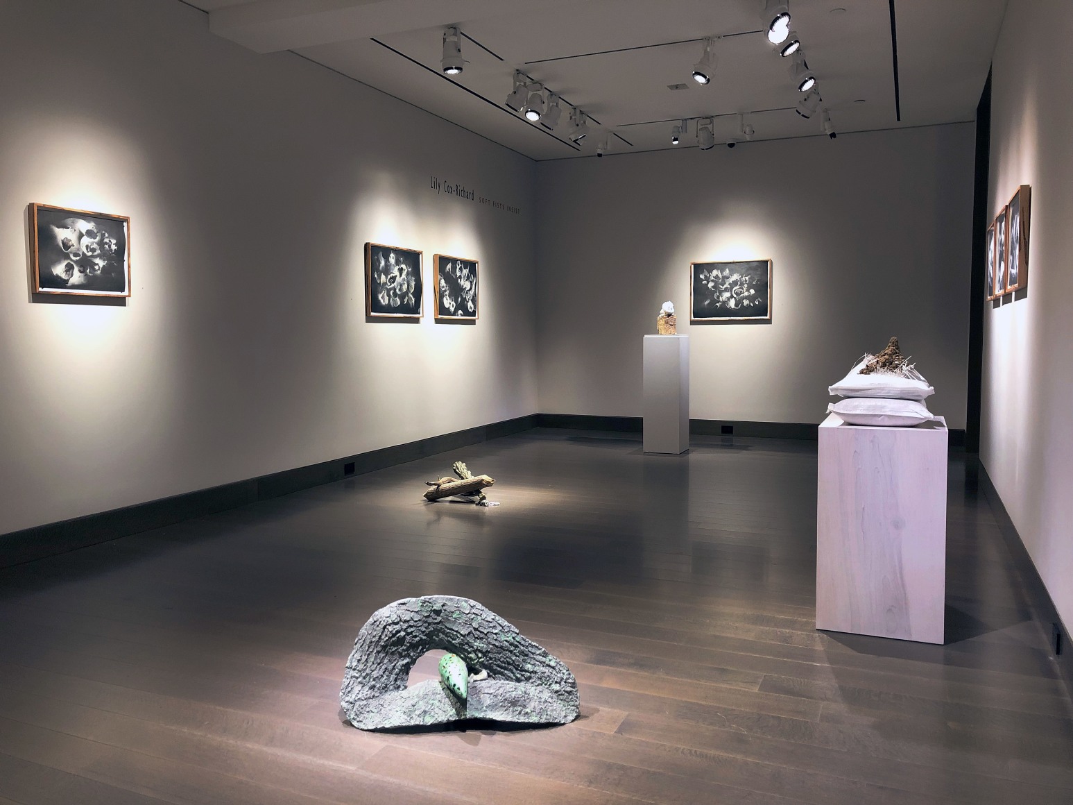 installation view of Lily Cox-Richard's solo exhibition, &quot;Soft Fists Insist,&quot; at Hirschl &amp; Adler Modern, New York