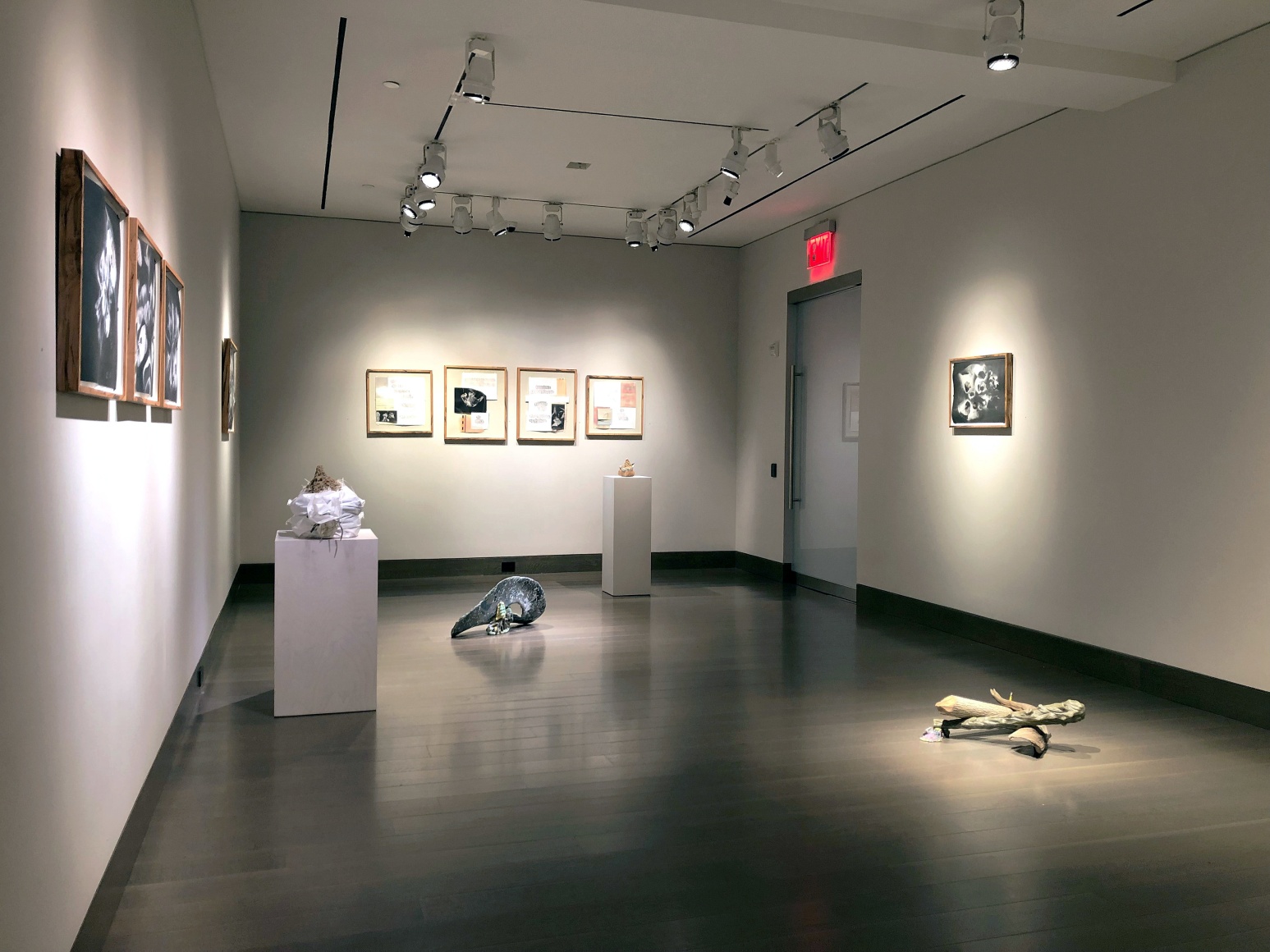 installation view of Lily Cox-Richard's solo exhibition, &quot;Soft Fists Insist,&quot; at Hirschl &amp; Adler Modern, New York