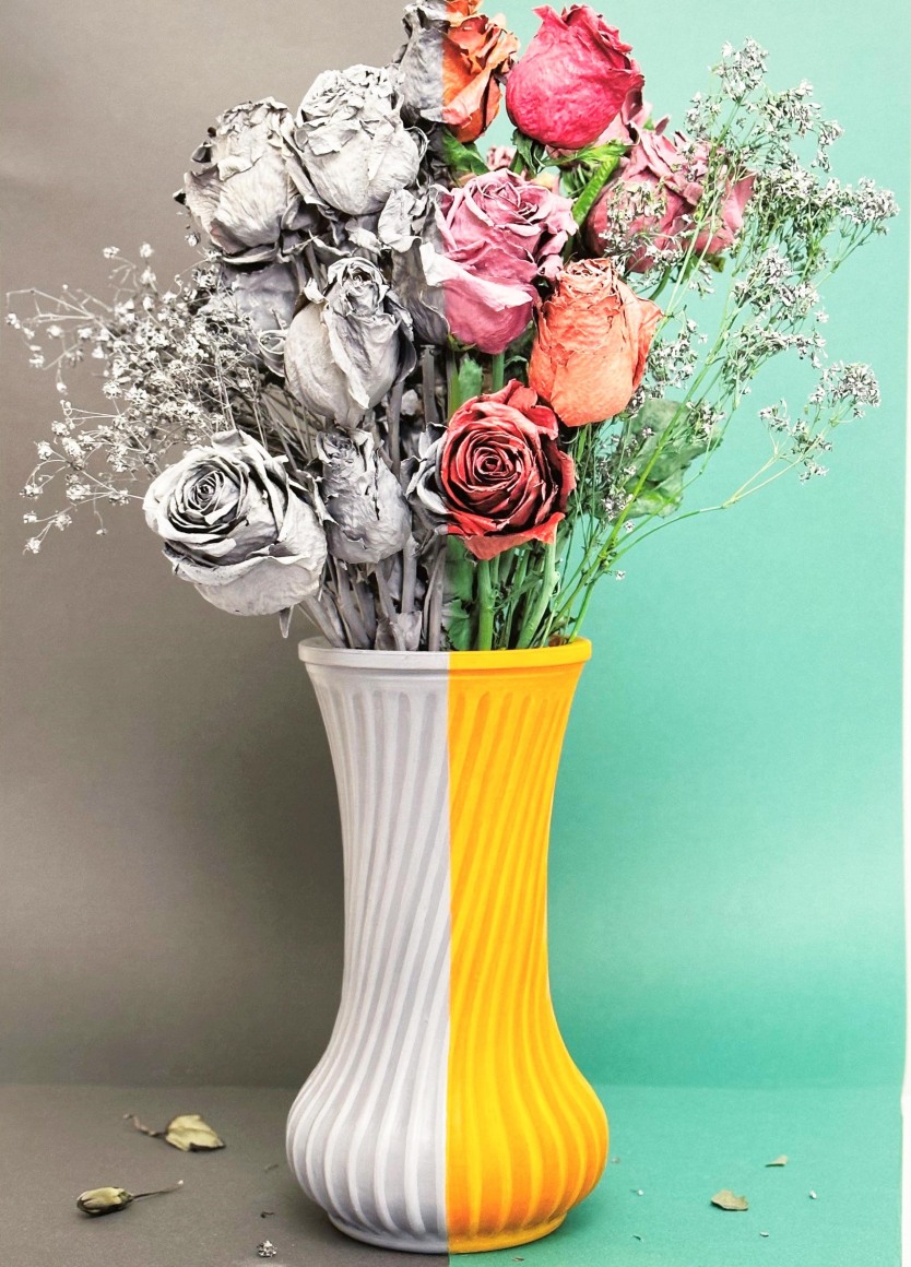 Rachel Granofsky Color Correction Photograph 22 x 16 &frac12; in.