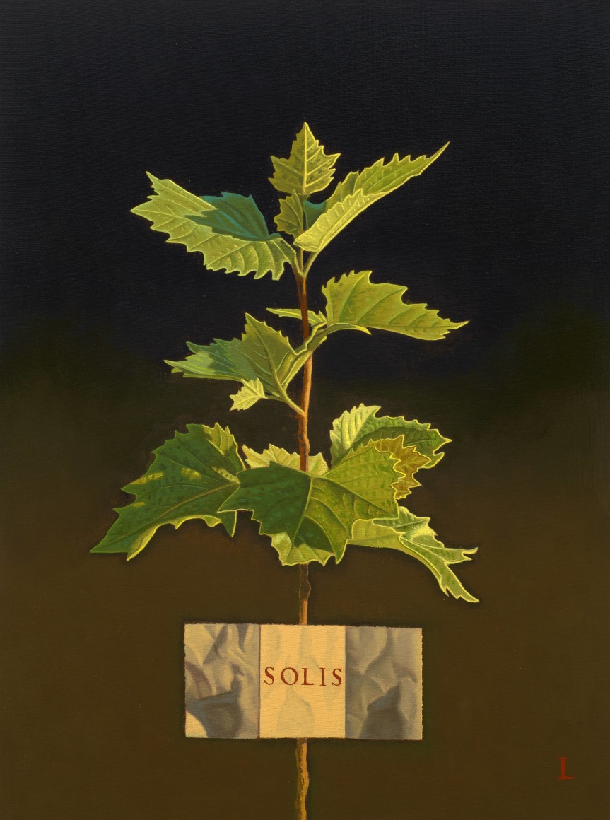 David Ligare (b. 1945), "SOLIS (Sunlight)," 2024. Oil on canvas, 24 x 18 in.
