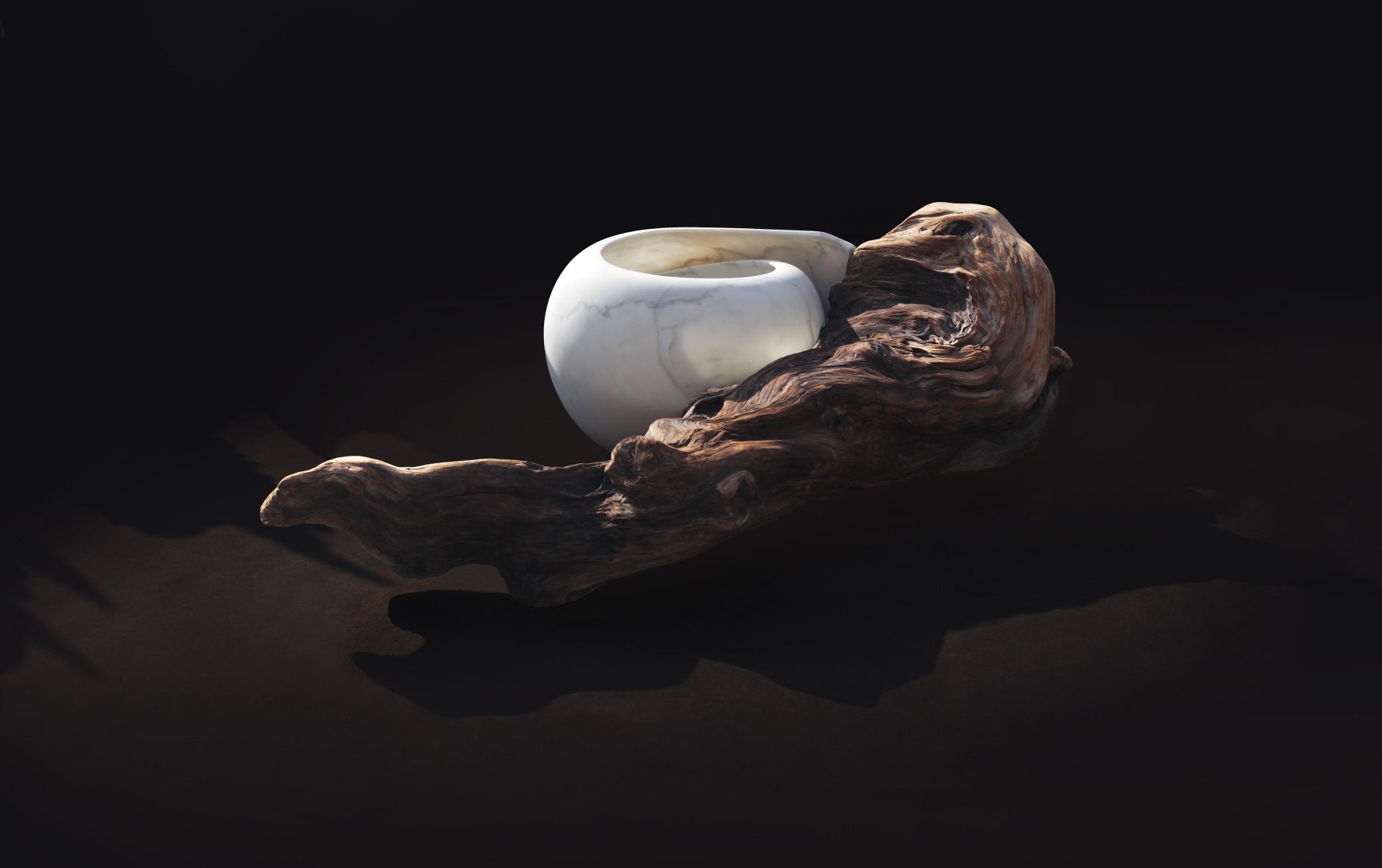 Elizabeth Turk (b. 1961)