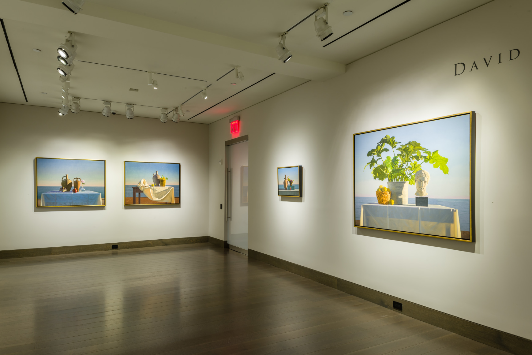 installation view of David Ligare Still Life at Hirschl &amp;amp; Adler Modern, September 12 - October 13, 2018