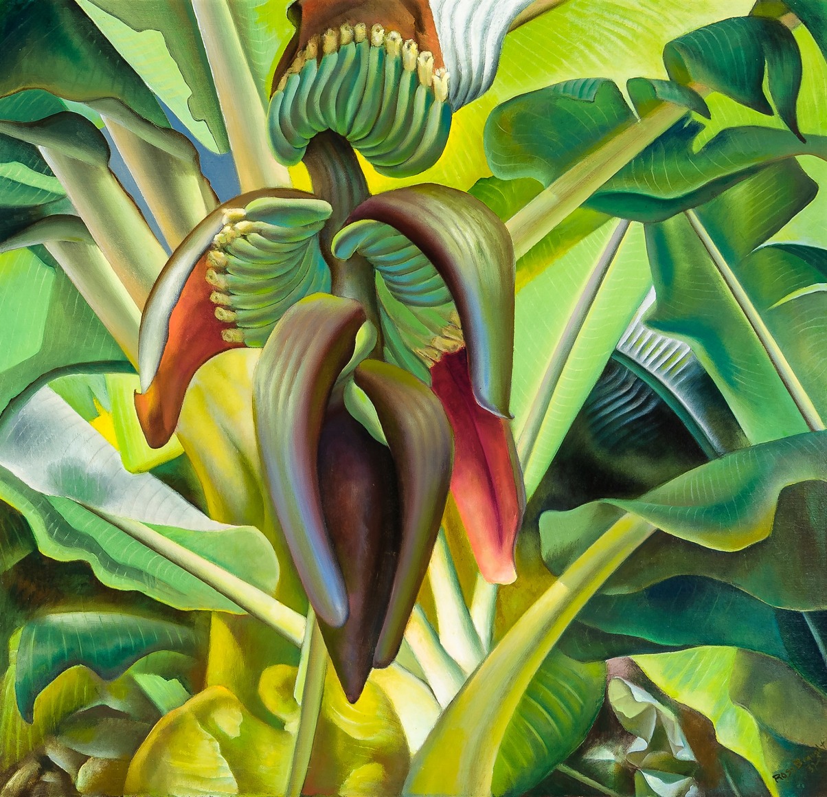 "Banana Tree" by Ross Braught, painted in 1937. A colorful close-up of the fruits of the banana tree from the artist's time on the island of Tortola.
