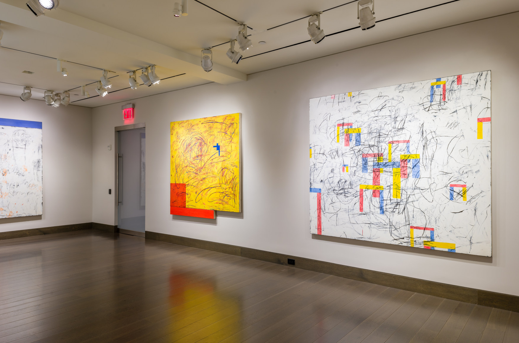 Installation Shot of Louisa Chase: Force Field