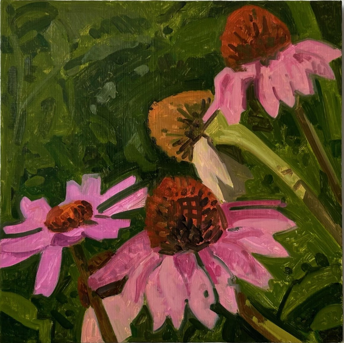 DAVID WHELAN&nbsp;  Echinacea, 2023  Oil on panel, 11 x 11 in.