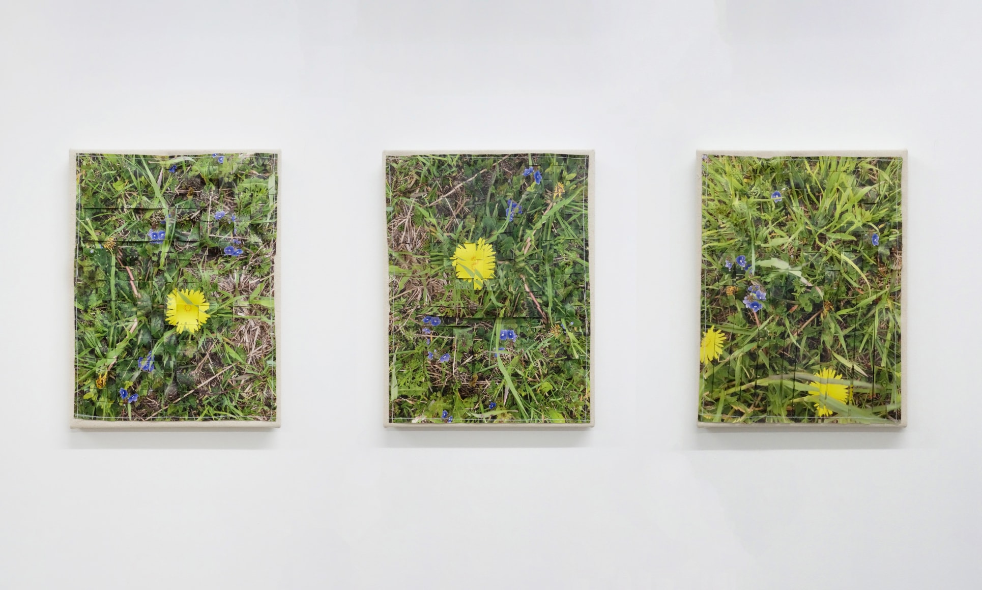 ANDREA McGINTY In the Weeds 1-3, 2023 Original digital photo printed on vinyl woven and sewn to canvas, 17 x 13 x 1 in. (each)