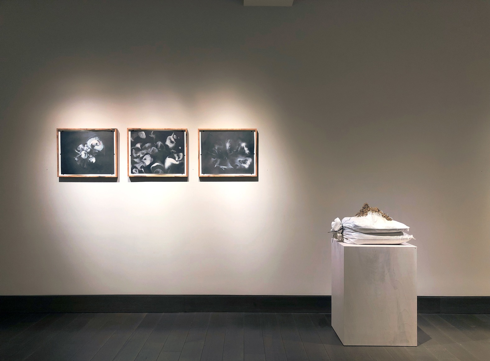 installation view of Lily Cox-Richard's solo exhibition, &quot;Soft Fists Insist,&quot; at Hirschl &amp; Adler Modern, New York