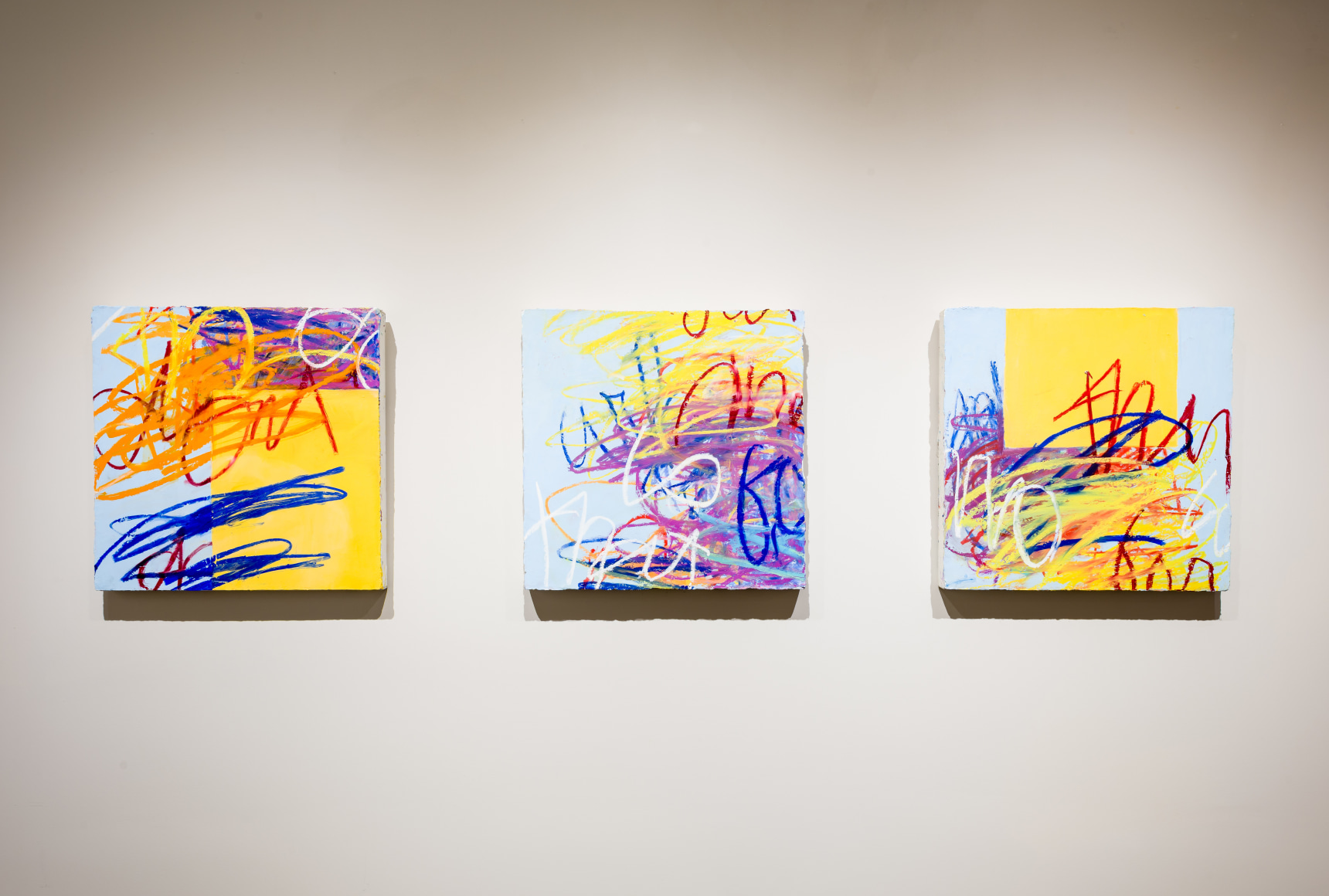 Installation Shot of Louisa Chase: Force Field