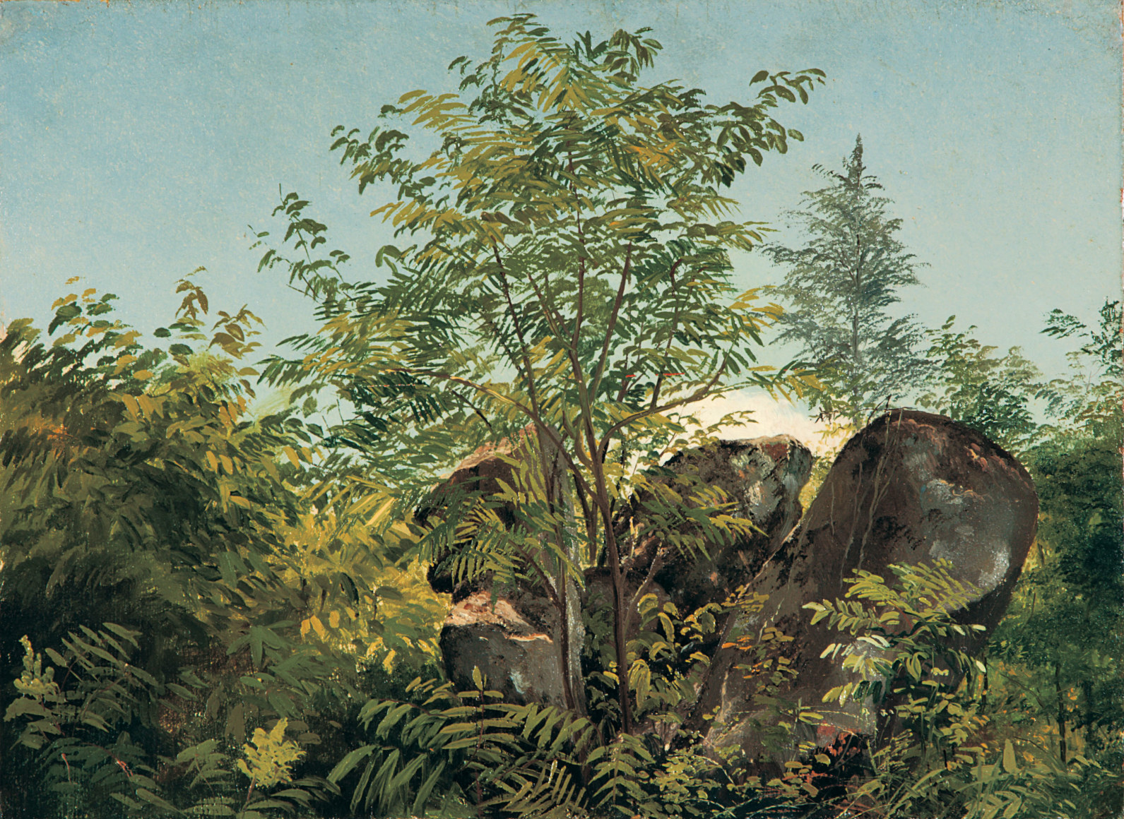 Jervis McEntee (1828-1891), Rocks and Bushes