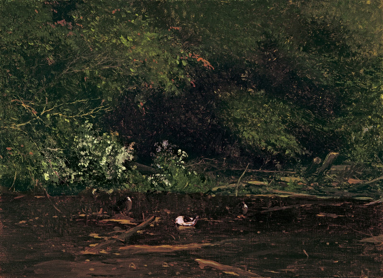 Jervis McEntee (1828-1891), Brook at Scribners