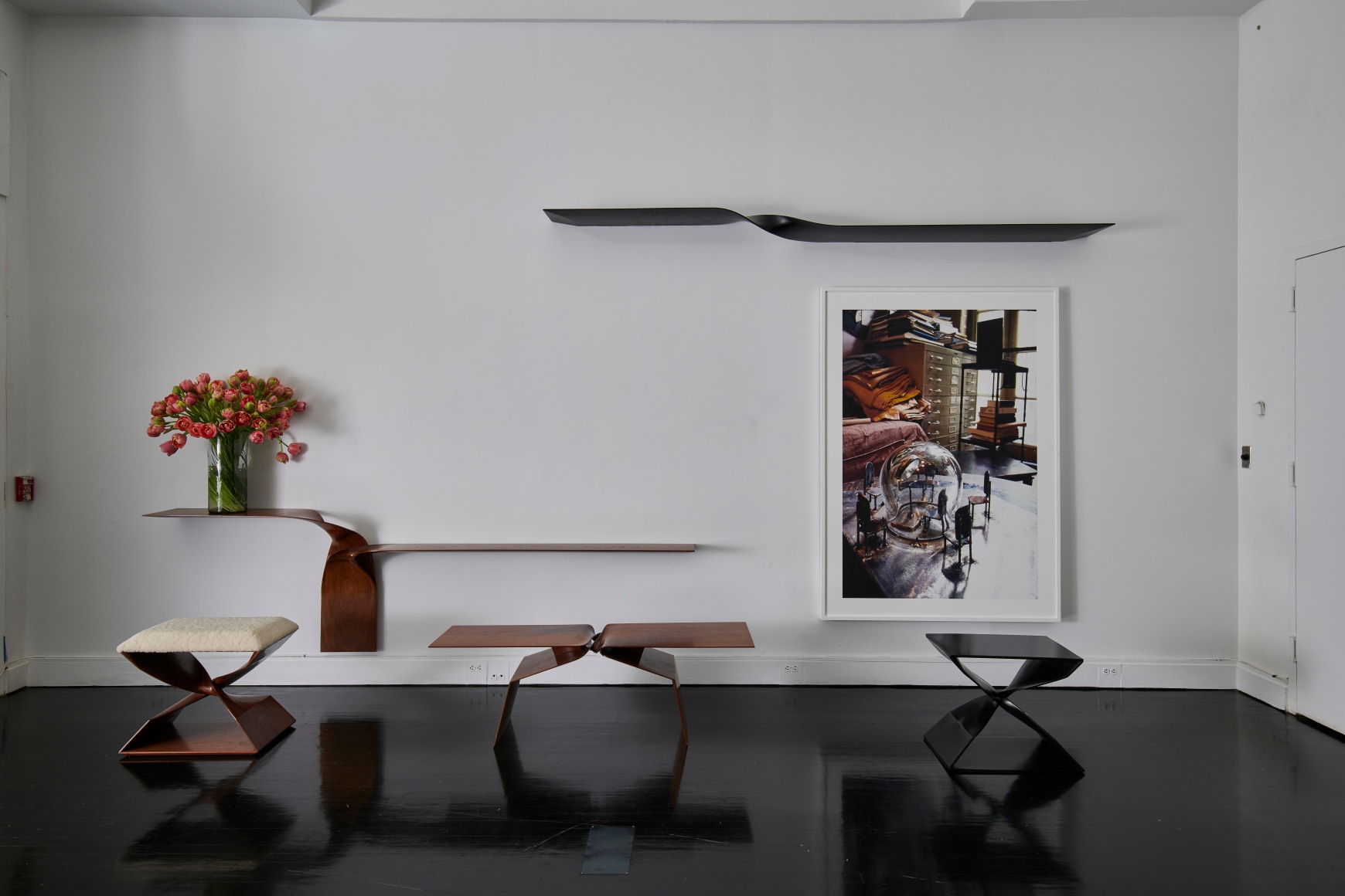 Carol Egan images show