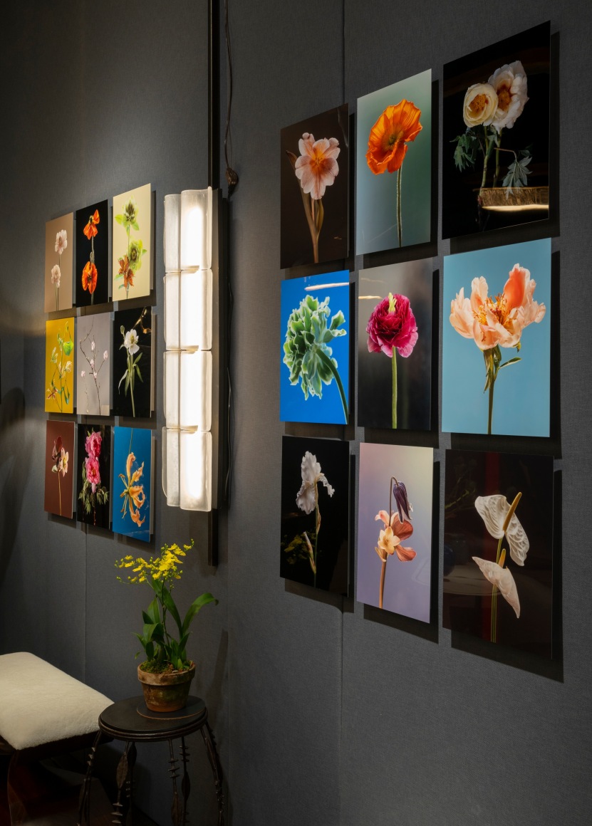 Salon installation phtos