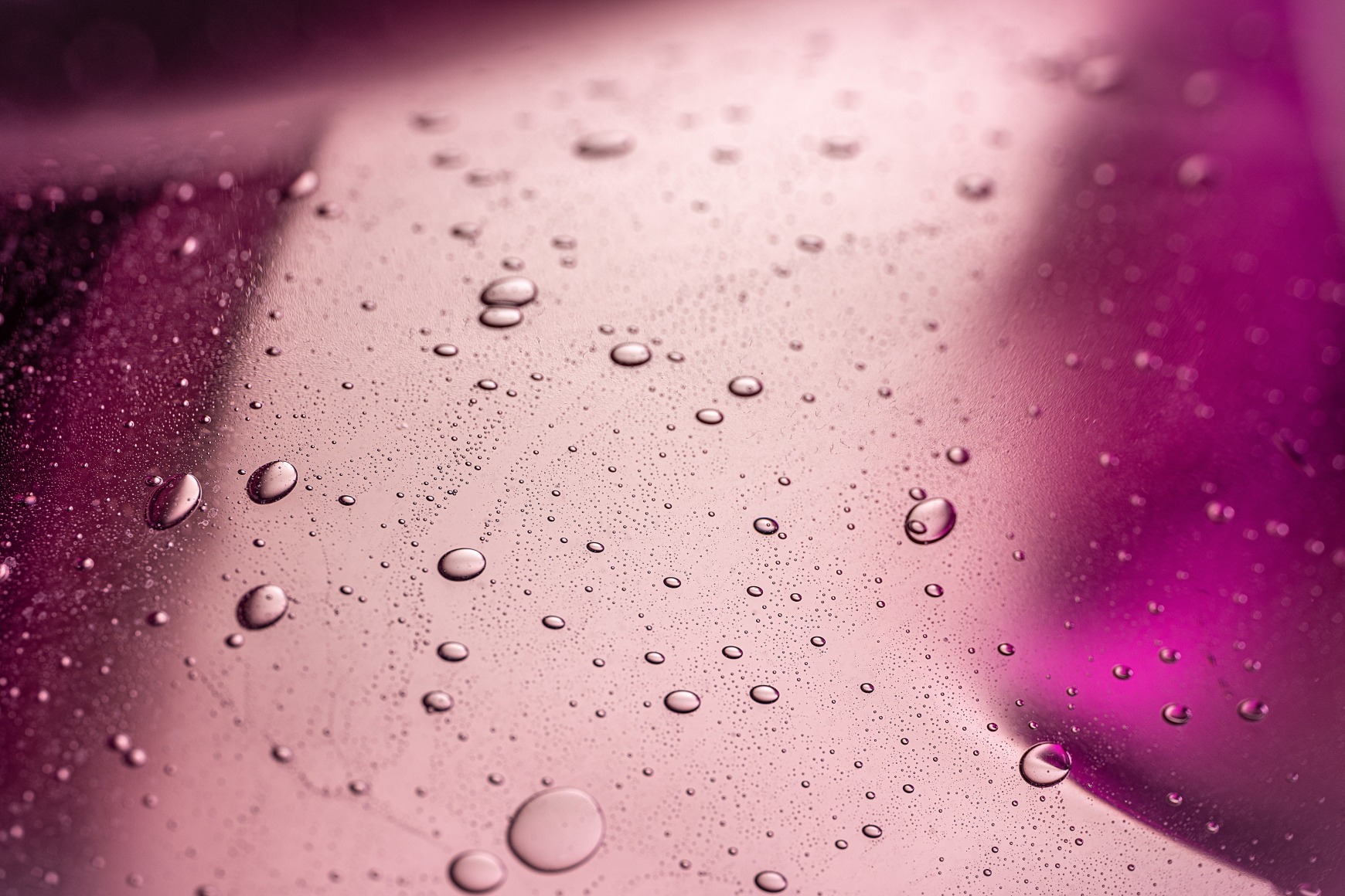 hydrangea piece cattai