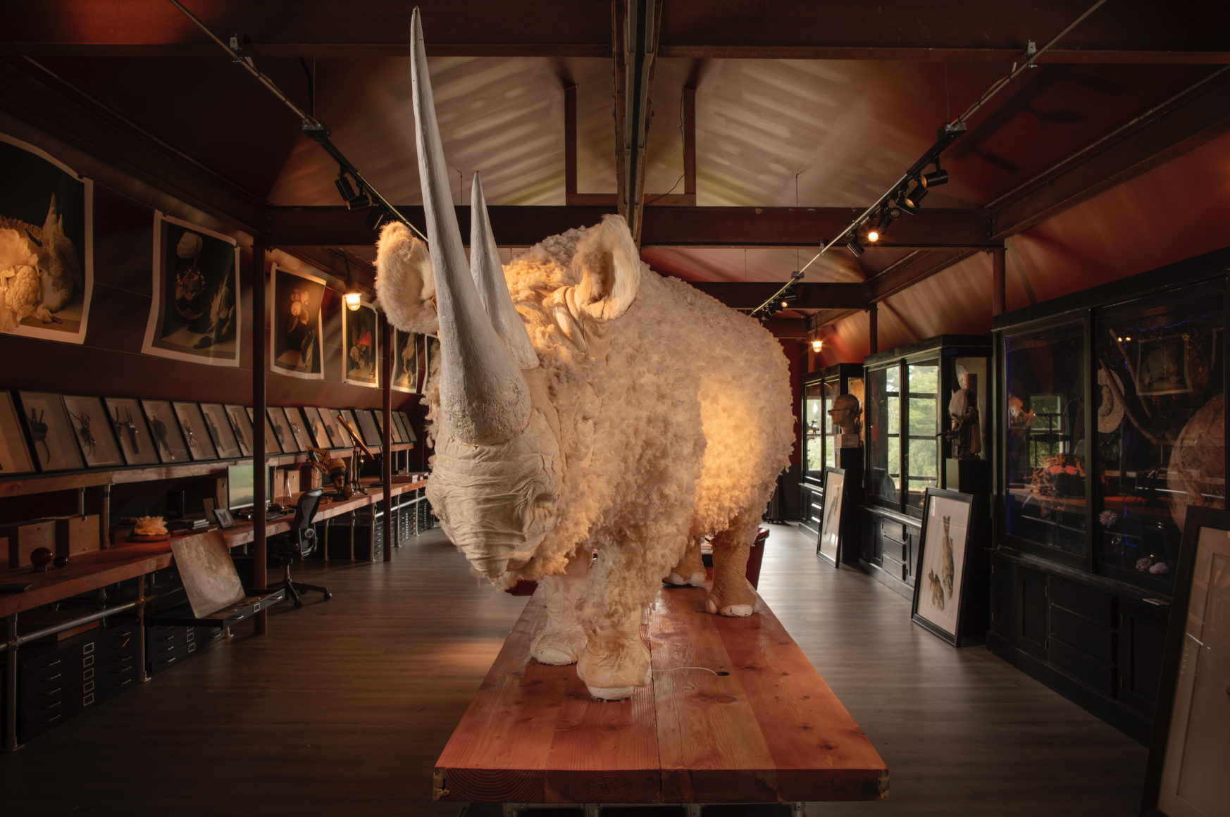 Hamptons Studio Thierry Despont