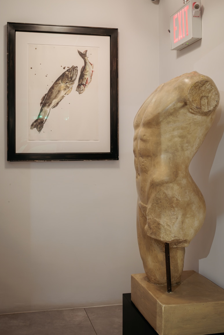 53 exhibition despon