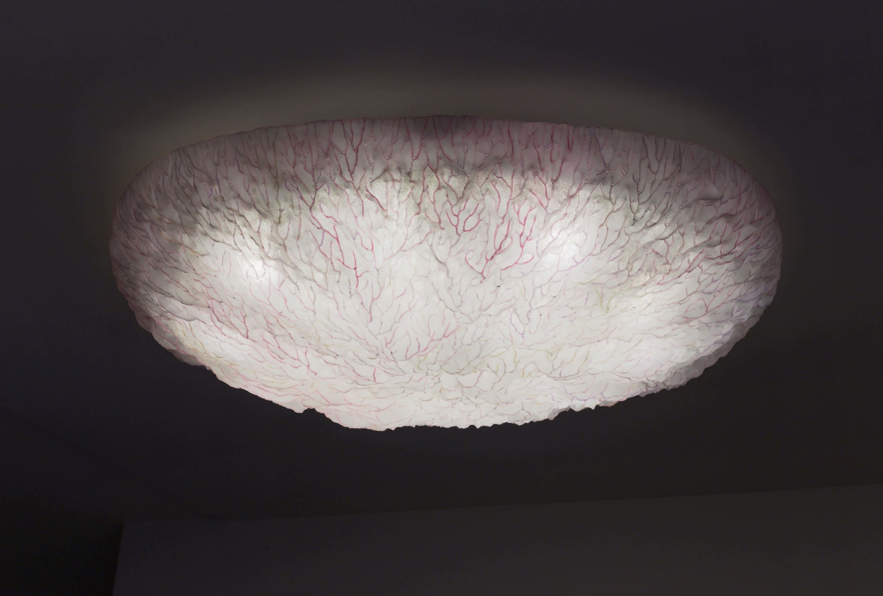 Serfaty light fixtuire