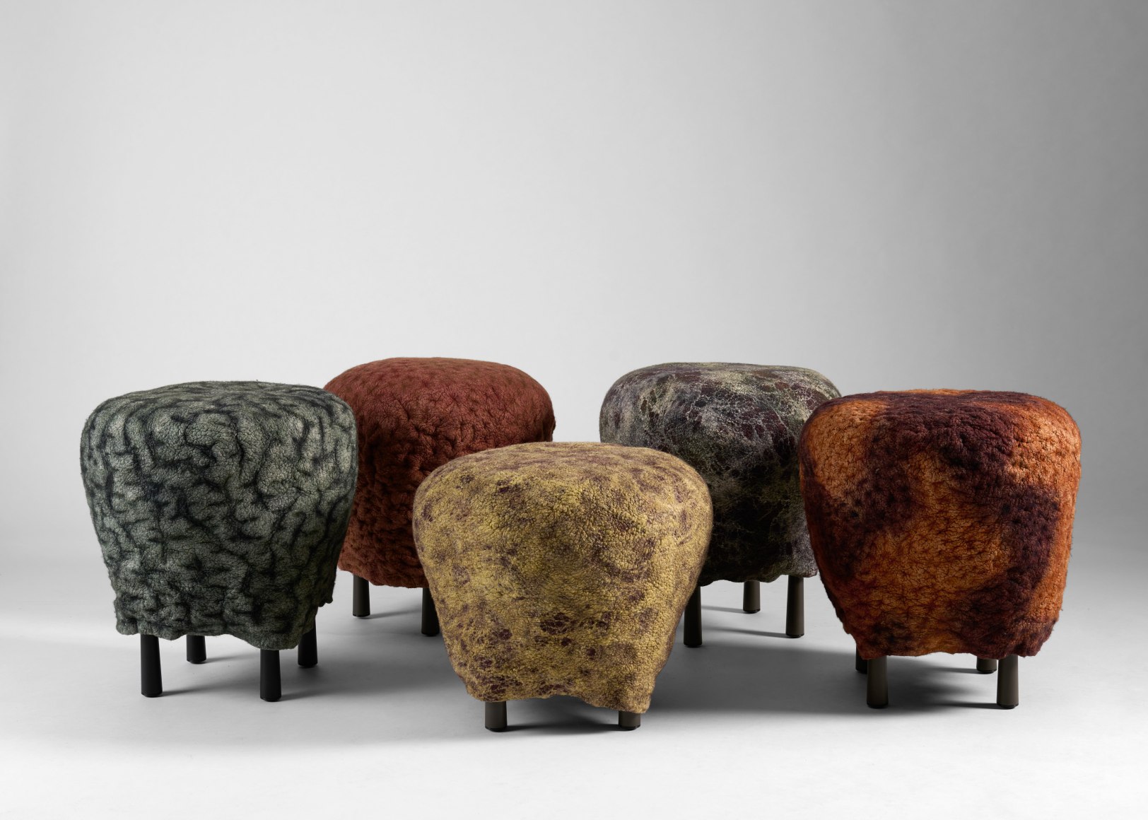 Ayala serfaty stools
