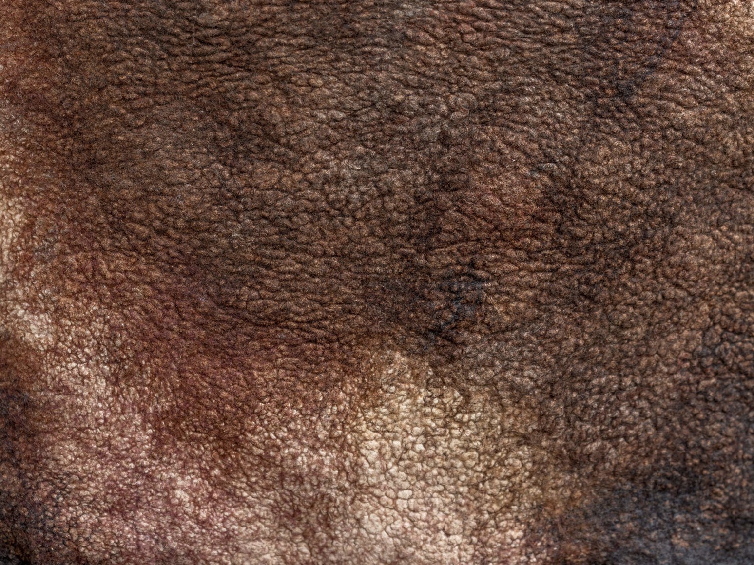 shastool stool serfaty