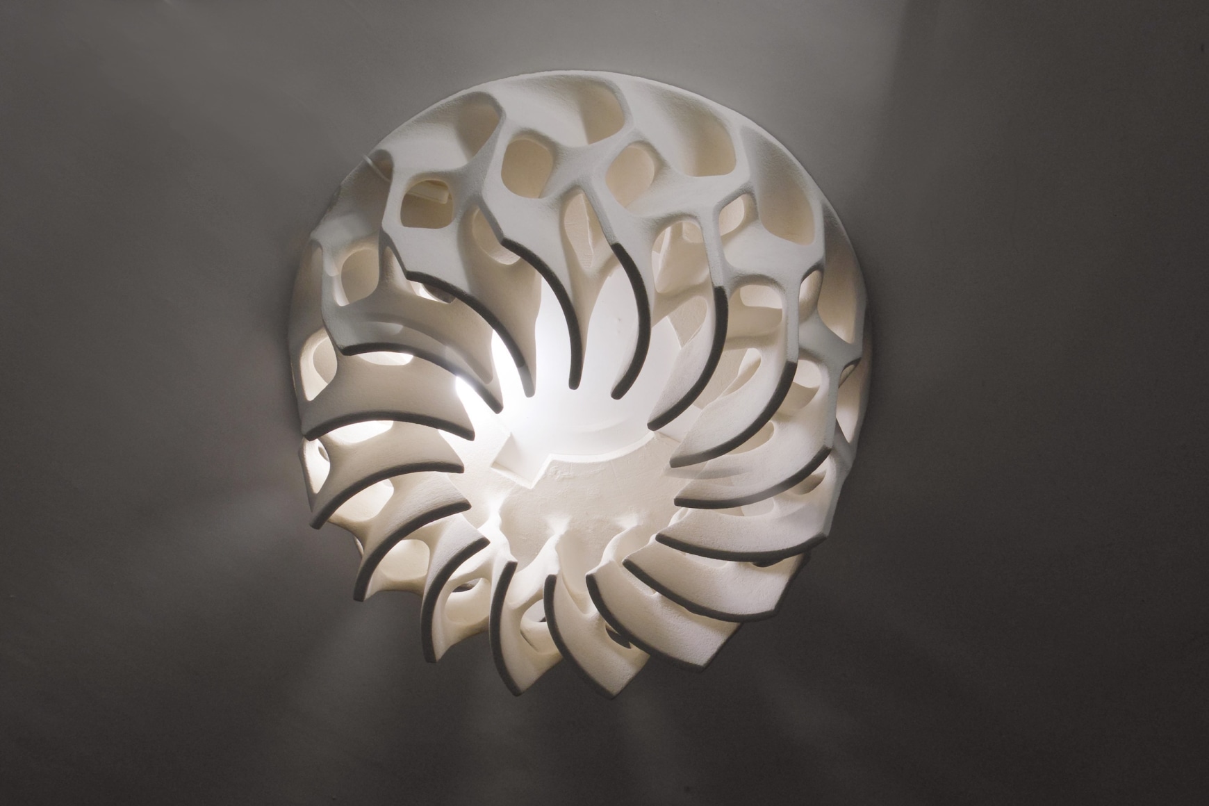 Bareff ceiling lights