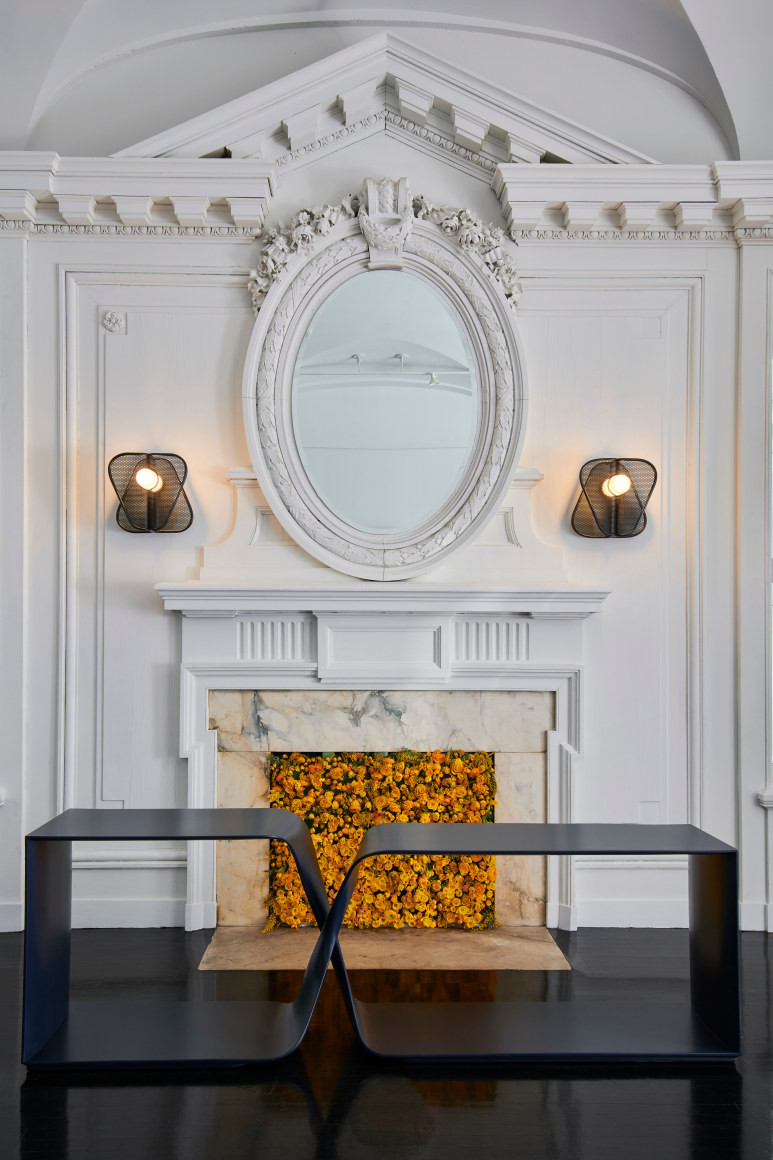 Carol Egan images show