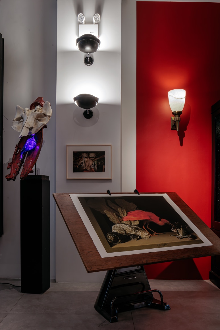 53 exhibition despon