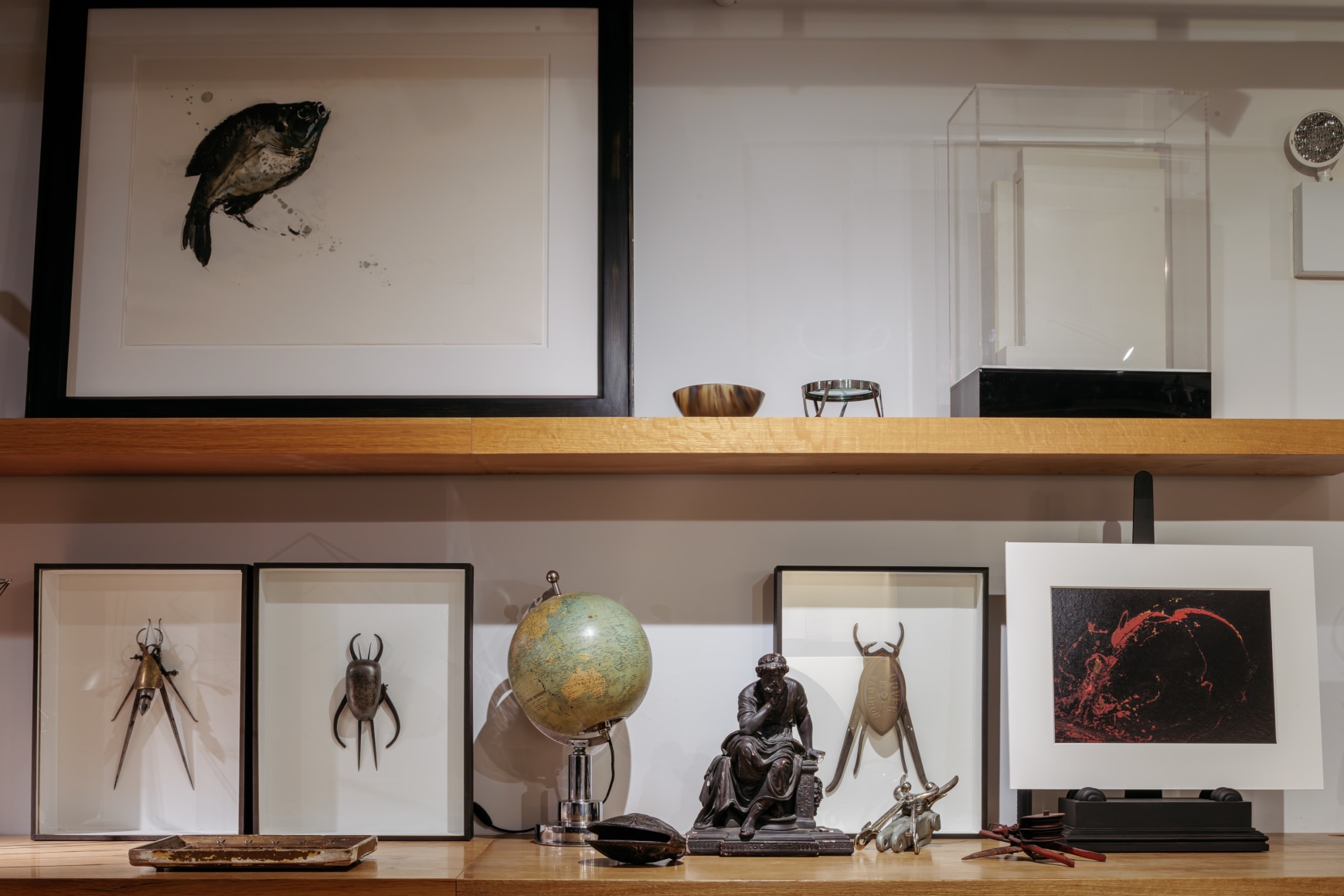 53 exhibition despon