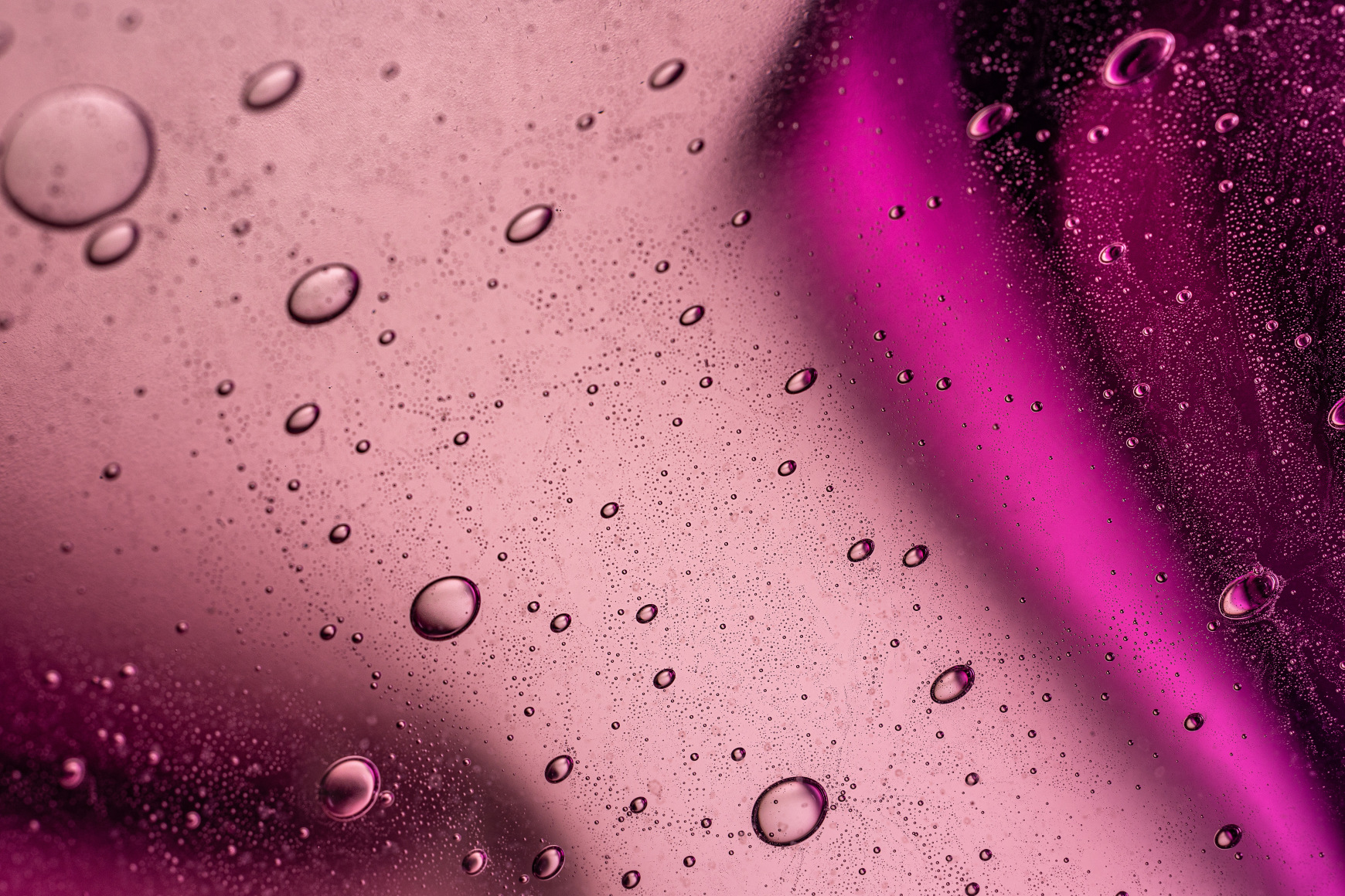 hydrangea piece cattai