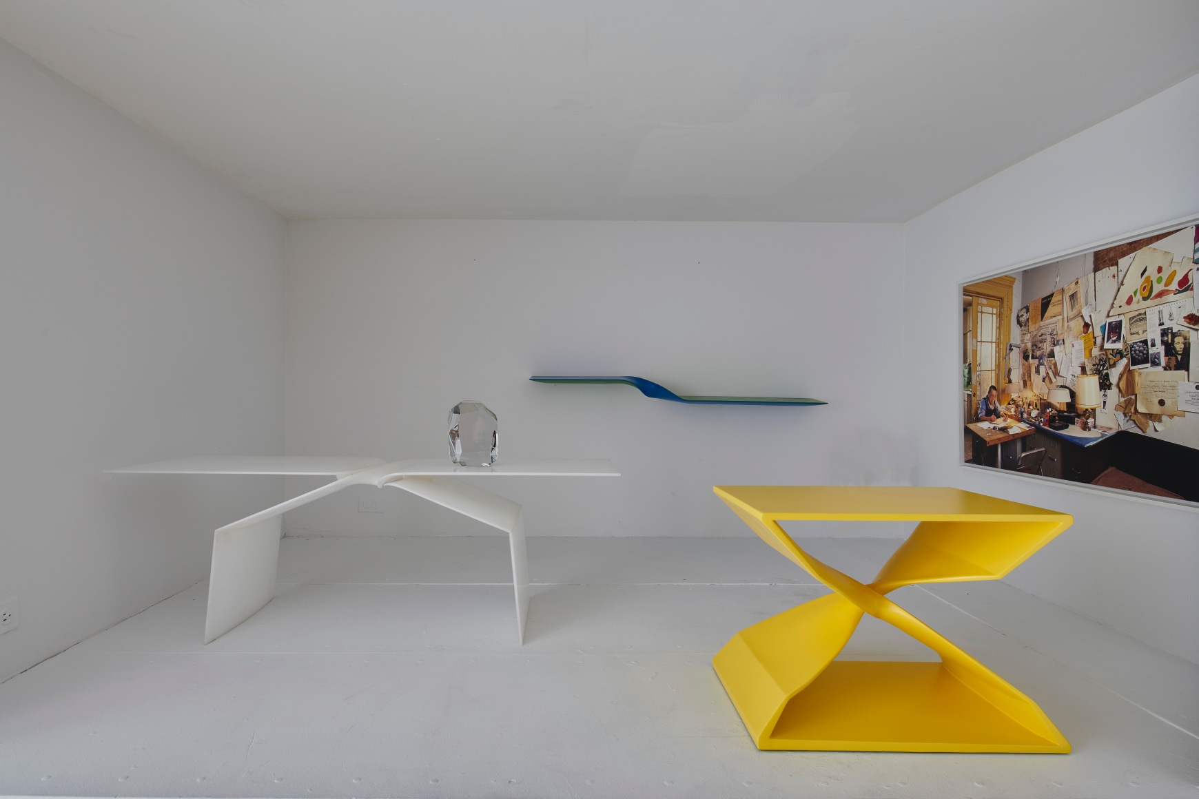 Carol Egan images show