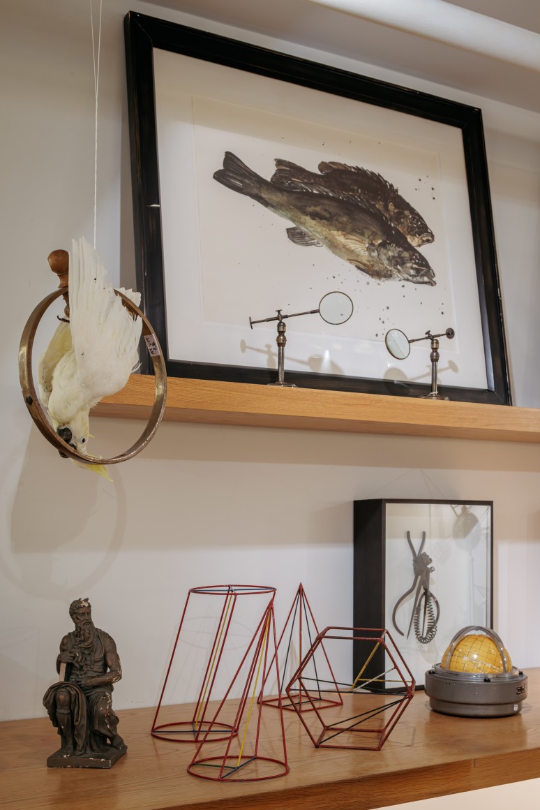 53 exhibition despon