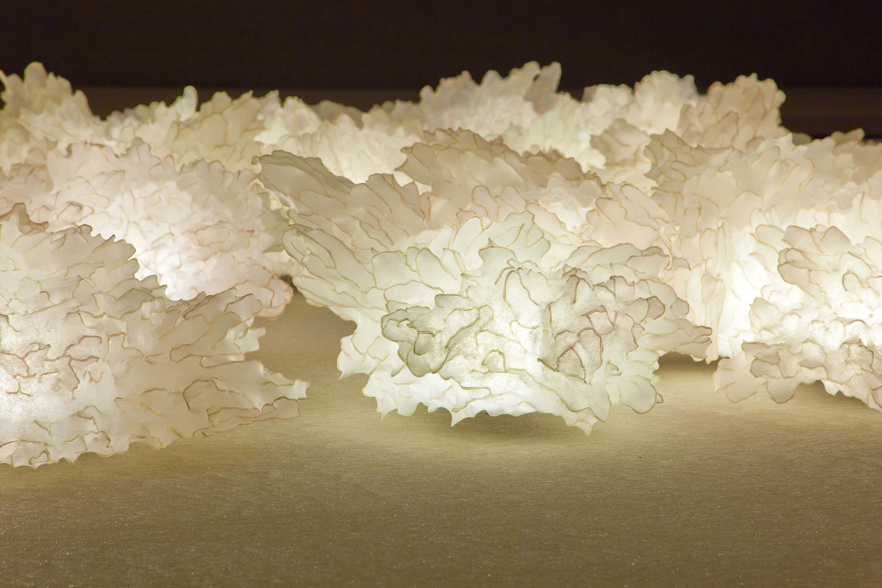 Soma at Tel Aviv Museum of Art in 2008