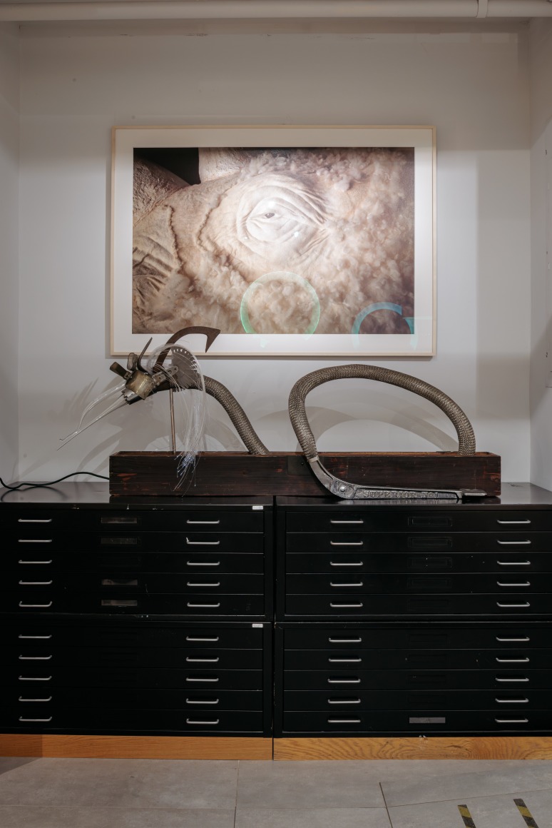 53 exhibition despon