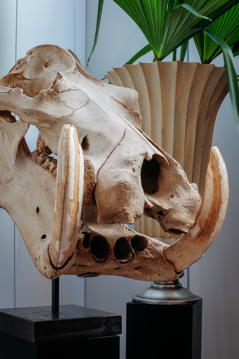 53 exhibition despon