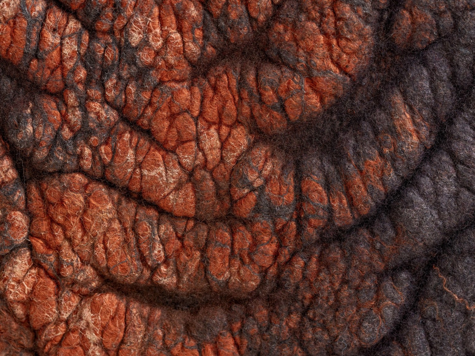 shastool stool serfaty