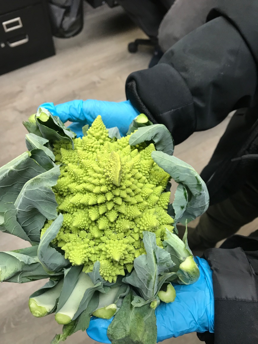 Romanesco Cauliflower