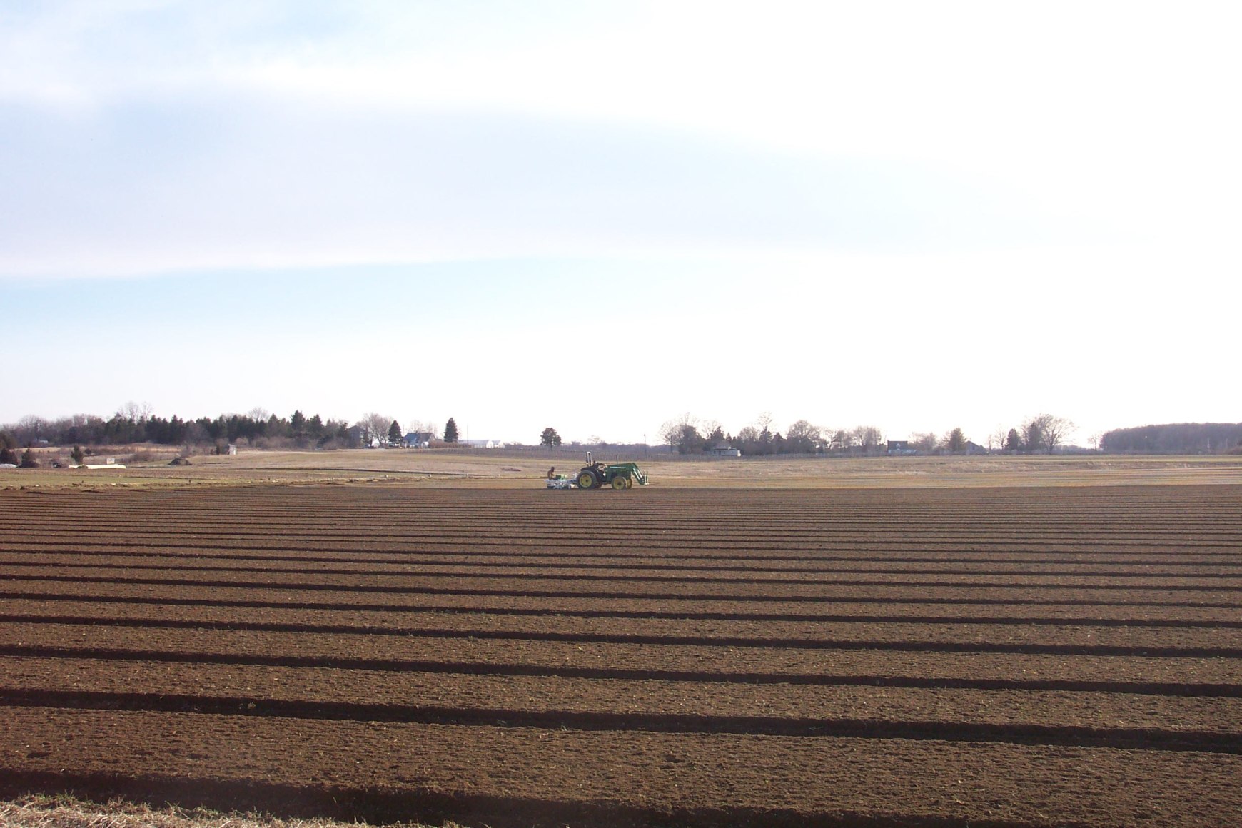 Seeding every 3-5 days for baby leaf