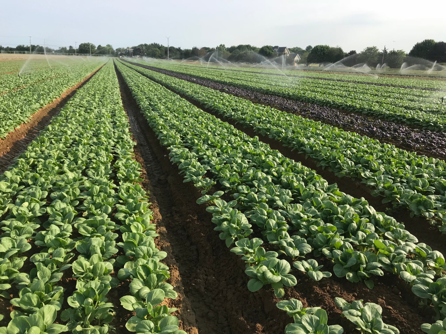 Irrigation is one of the most critical jobs on the farm.