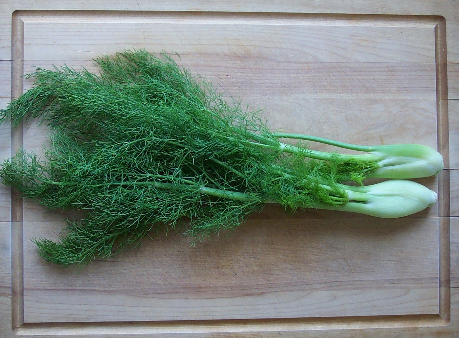 Fennel