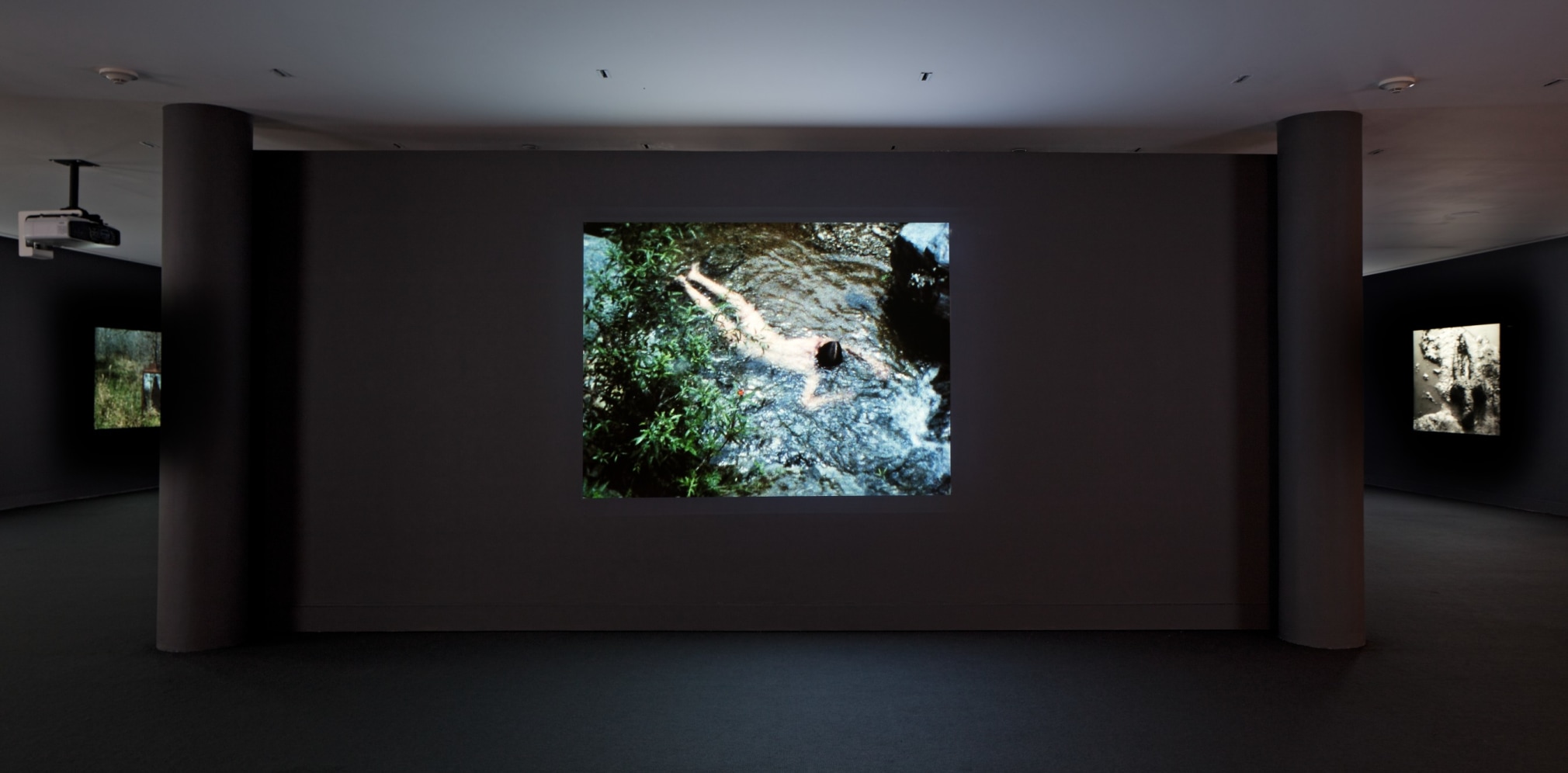 Ana Mendieta - Covered in Time and History: The Films of Ana